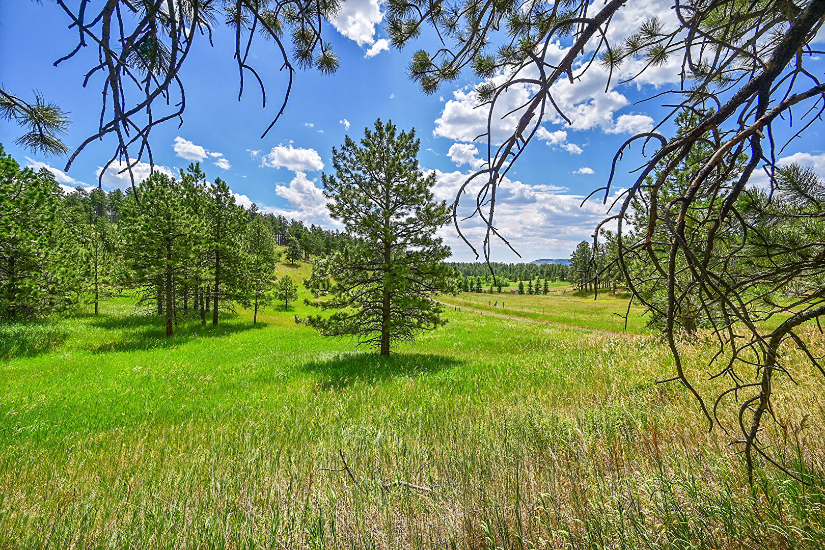 Nature View at 440 La Hermosa Drive, Bellvue, CO 80512, listed by Taryn King