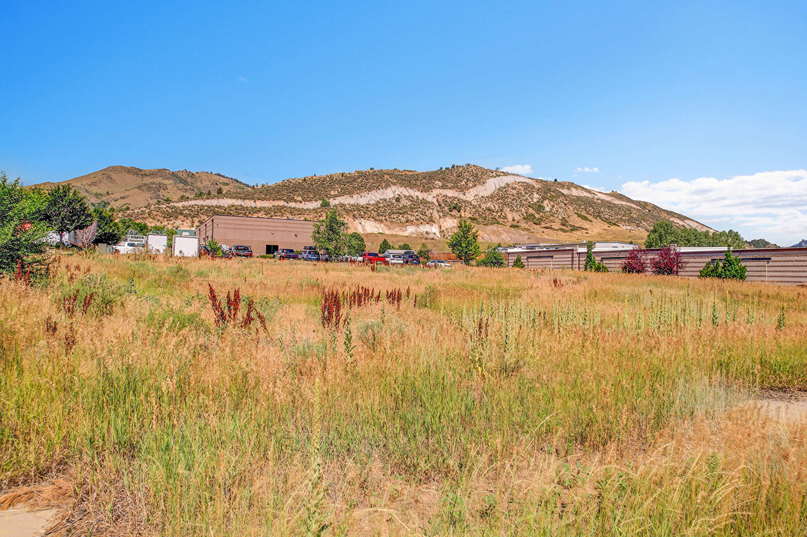 Yard at 910 Brickyard Circle, Golden, CO 80403, listed by Jeff Murphy