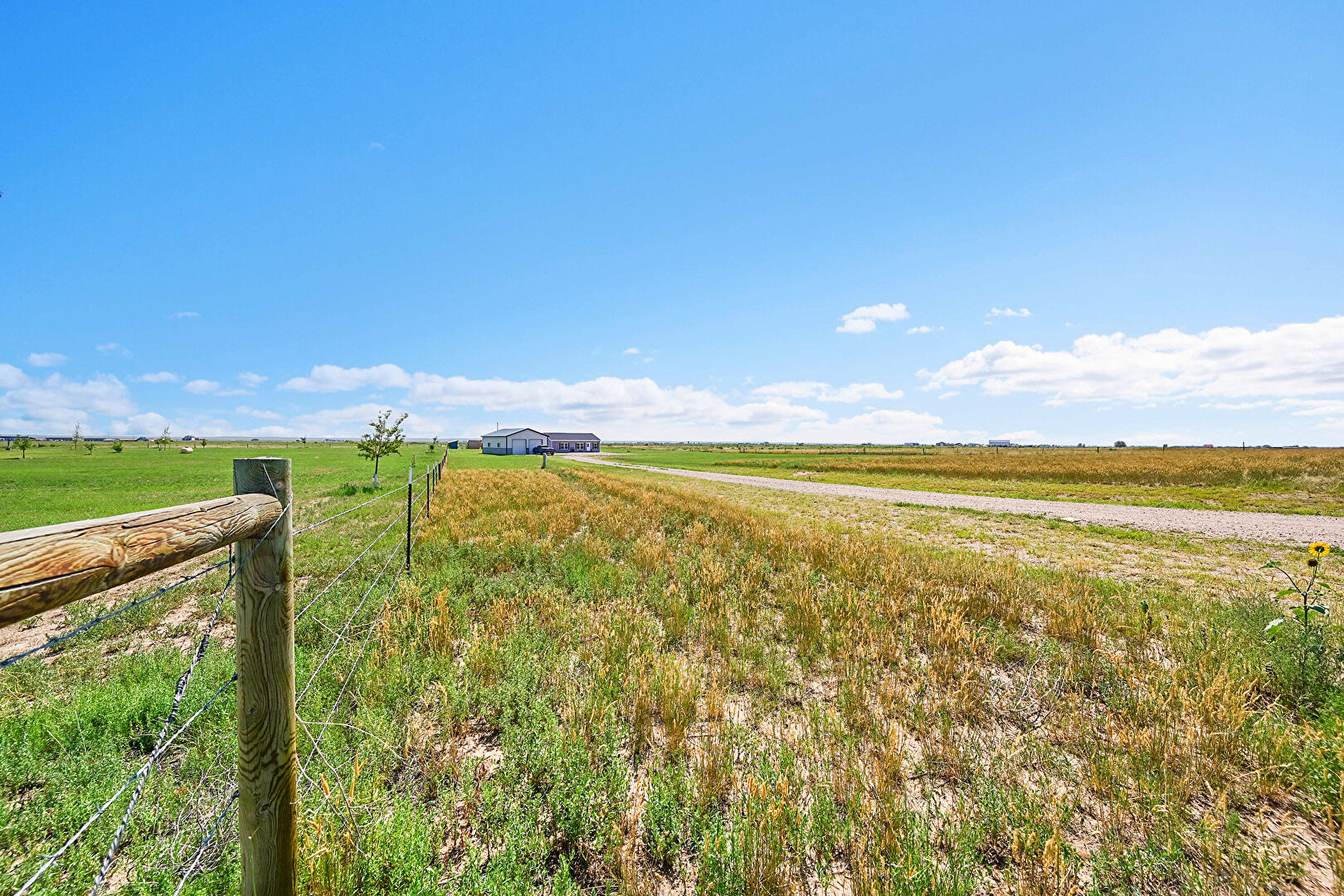 Yard at 50620 County Road 33, Nunn, CO 80648, listed by Suzanne Ekeler