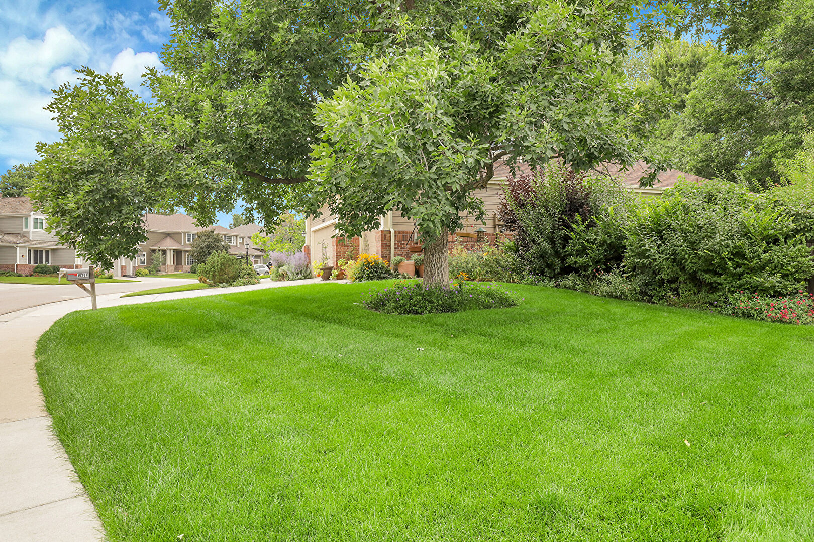 Front yard view at 16231 Parkside Drive, Parker, CO 80134, listed by Cindy Rein
