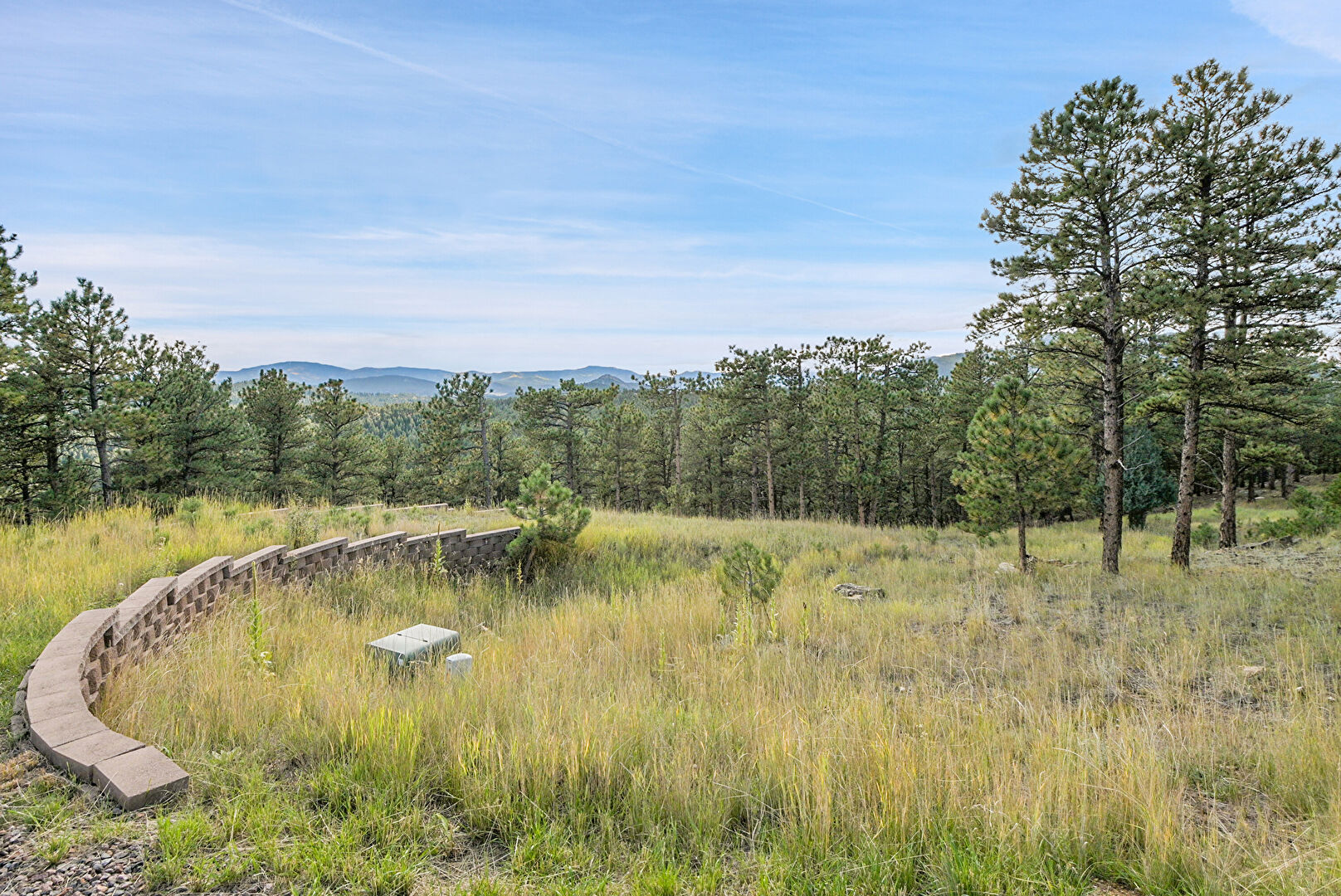 Nature View at 2317 Wieler Road, Evergreen, CO 80439, listed by Victoria Merchant