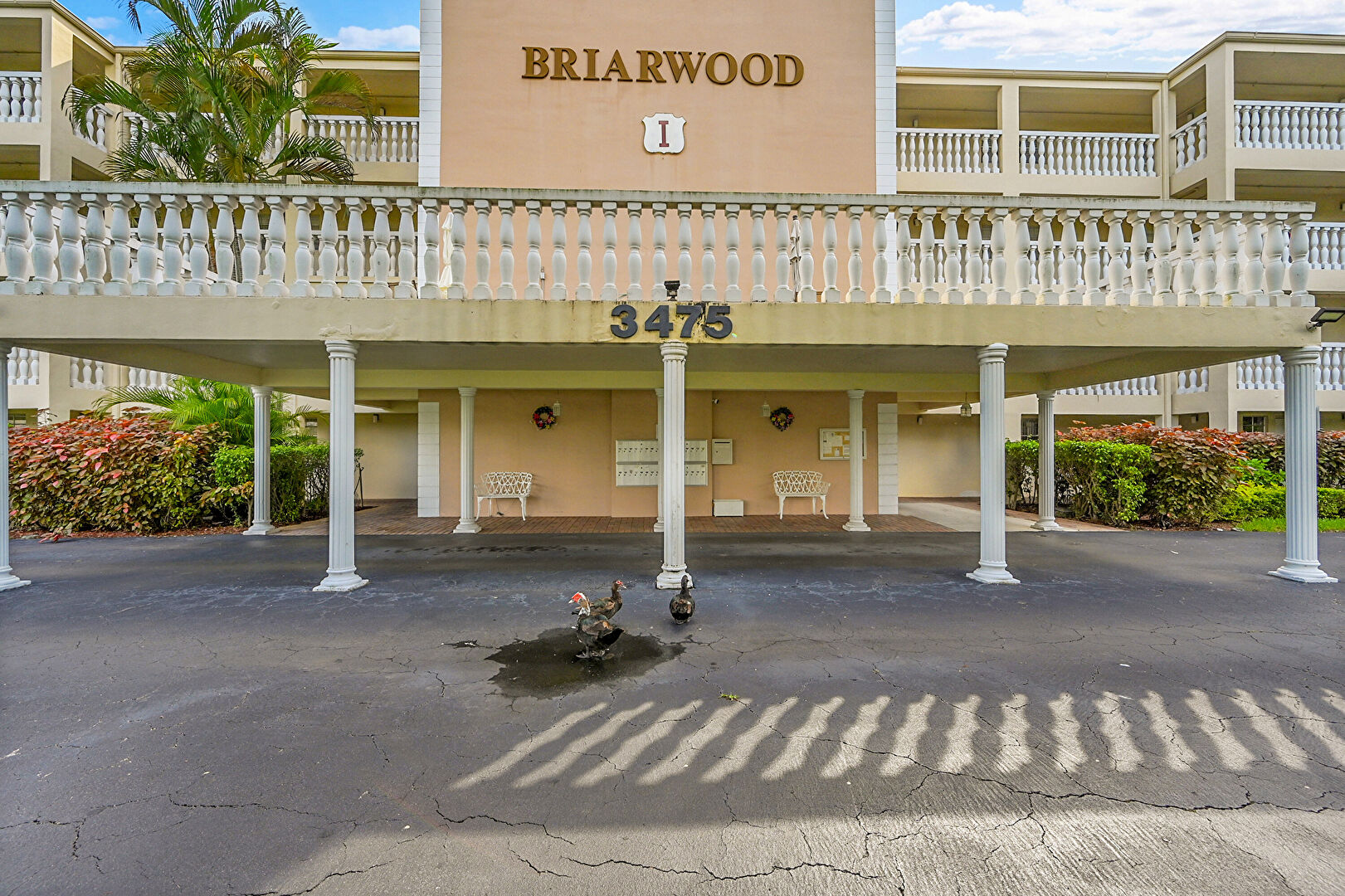 Front at 3475 Broken Woods Dr #401, Coral Springs, FL 33065, listed by Chrissy Trotta