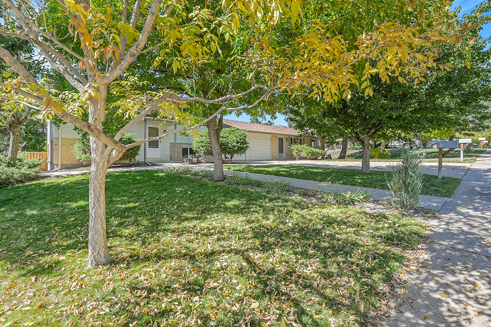 Front at 1243 Miller Street, Lakewood, CO 80215, listed by Jay Peterson