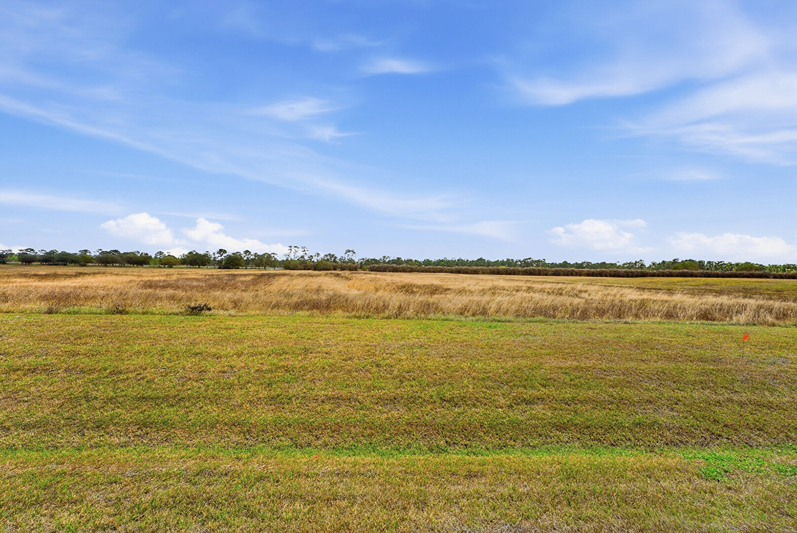 Yard at 3280 Southwest Briarbrook Way, Palm City, FL 34990, listed by Cameron Post