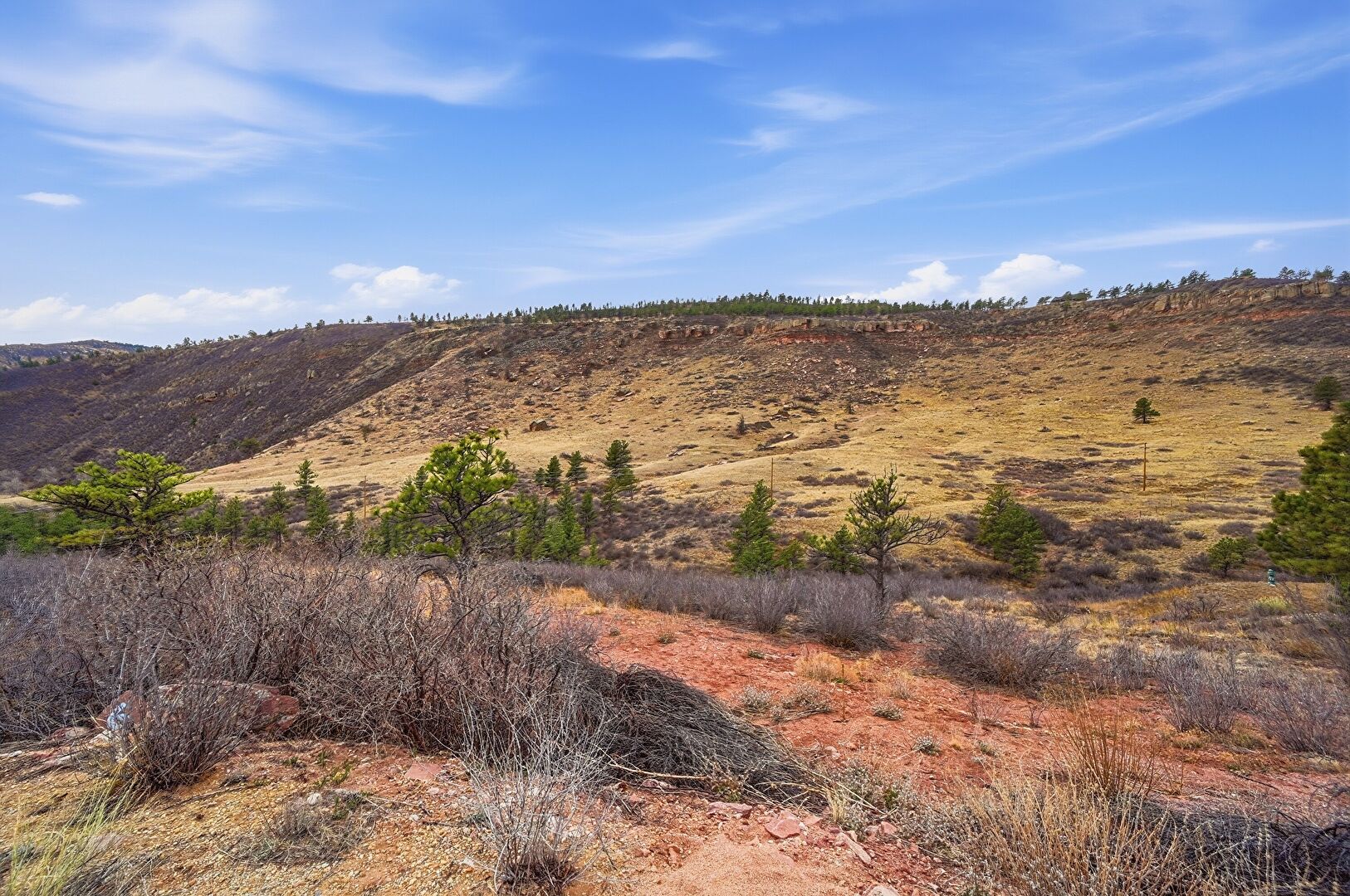 Mountain View at 1114 Vision Way, Lyons, CO 80540, listed by The Bernardi Group