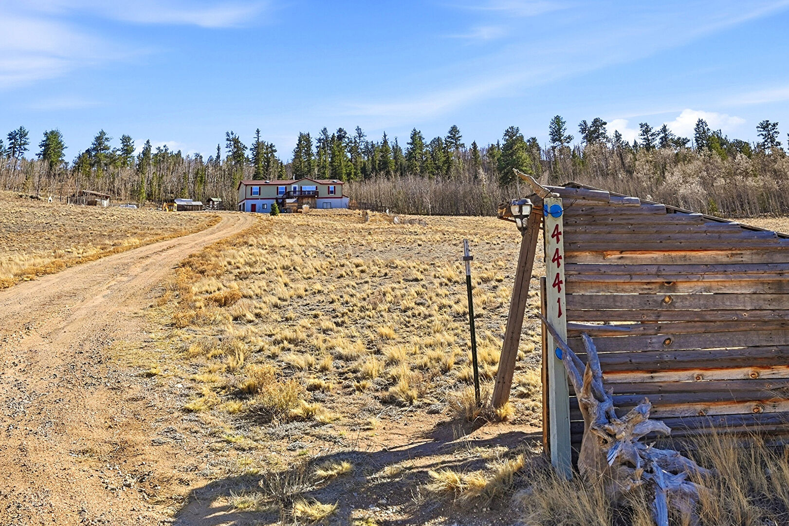 Driveway at 4441 Goldenburg Canyon Road, Lake George, CO 80827, listed by Jessica Ford