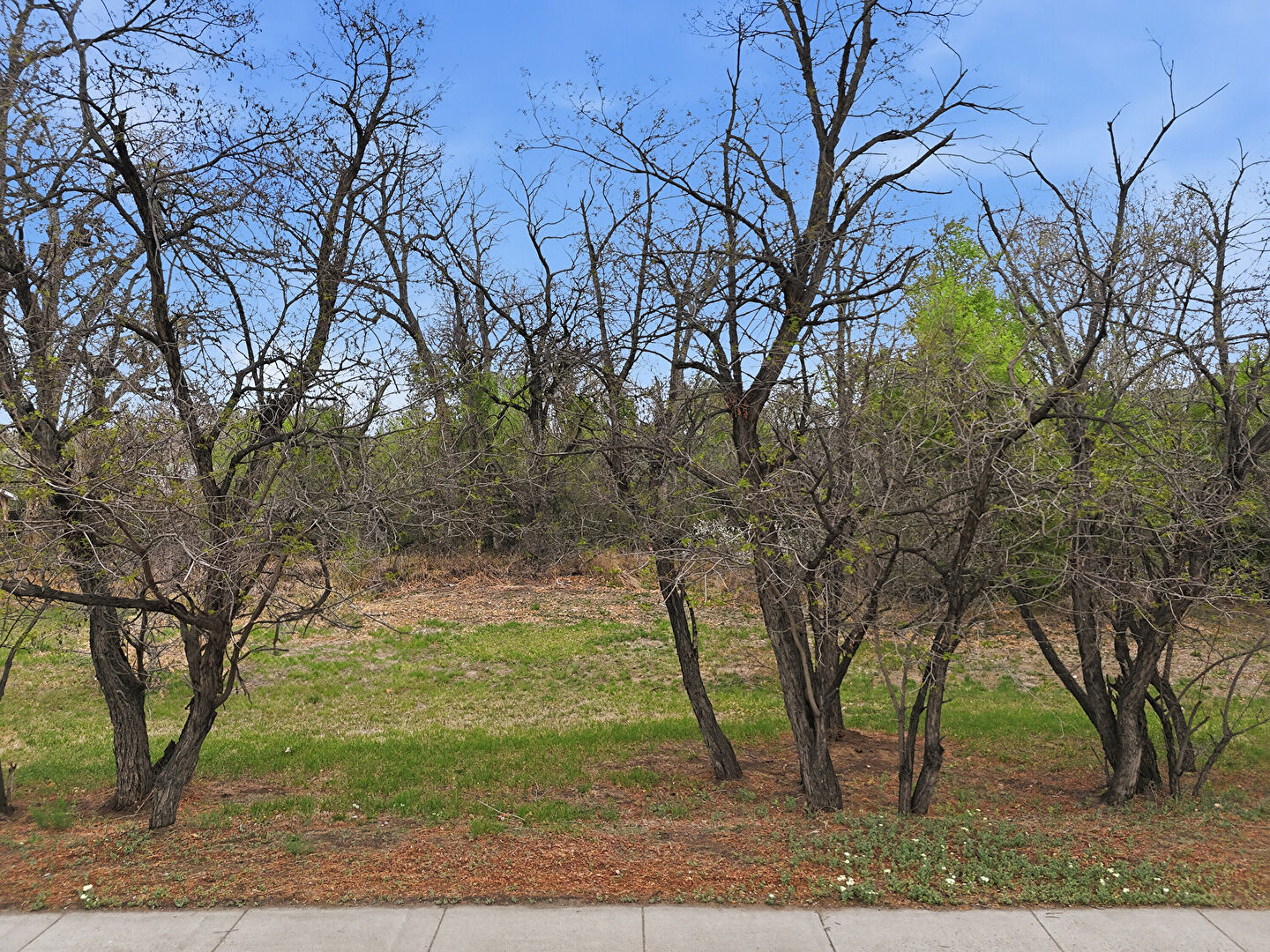 Front at 5240 Balsam Street, Arvada, CO 80002, listed by Renee Ambrose