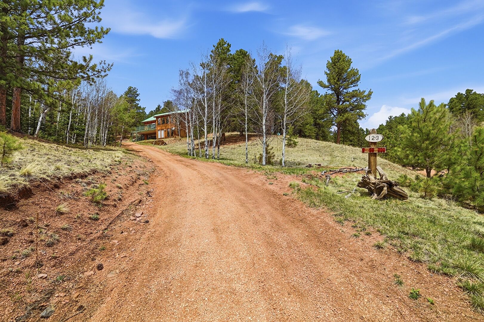 Driveway at 123 Granby Lake Way, Divide, CO 80814, listed by Carl Borrmann