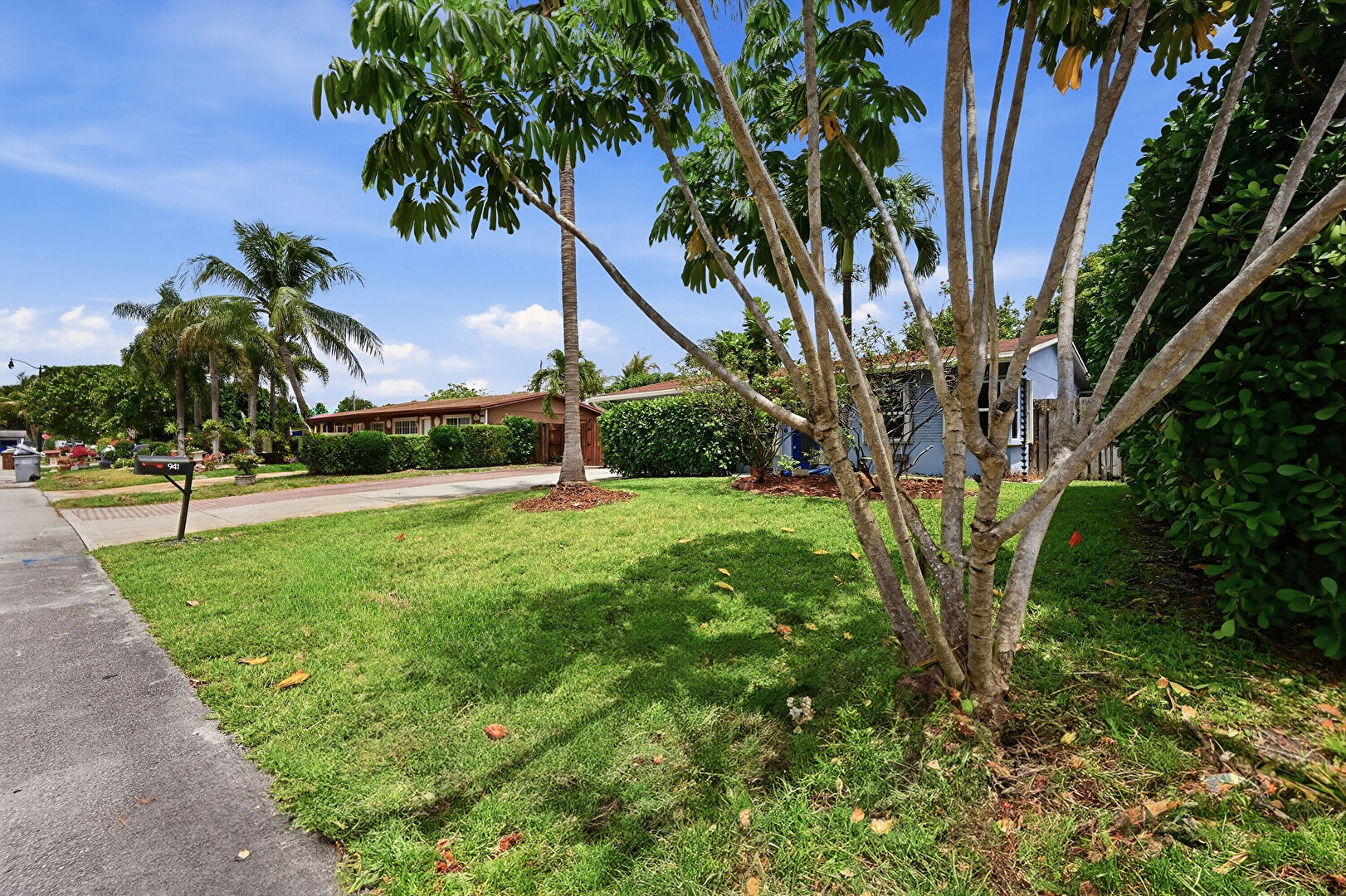 Front yard at 941 Northeast 23rd Court, Pompano Beach, FL 33064, listed by Timothy Byrne