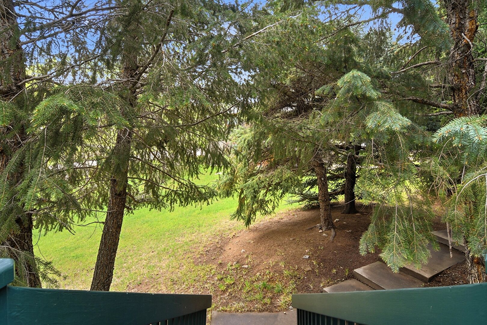 View from Entrance  at 28248 Harebell Lane, Evergreen, CO 80439, listed by Matt Bachus, MLS ID: 8189692