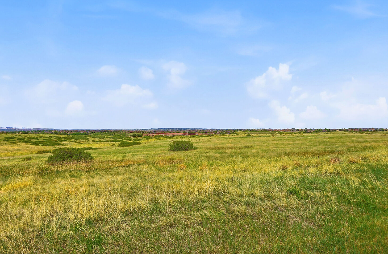 Nature View at 7921 Forest Keep Circle, Parker, CO 80134, listed by Jose 