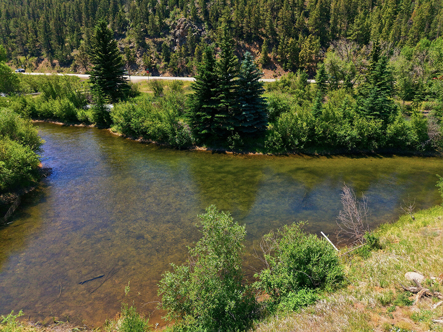 Waterfront at 61 Cline Drive West, Bailey, CO 80421, listed by K.C. Golfinopoulos