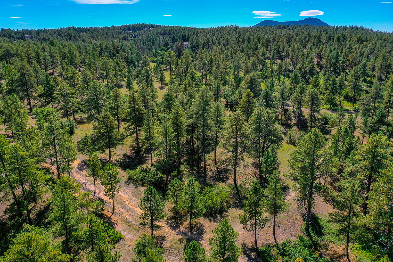 Aerial View at 2172 Senecio Dr, Larkspur, CO 80118, listed by Kristin Frasier