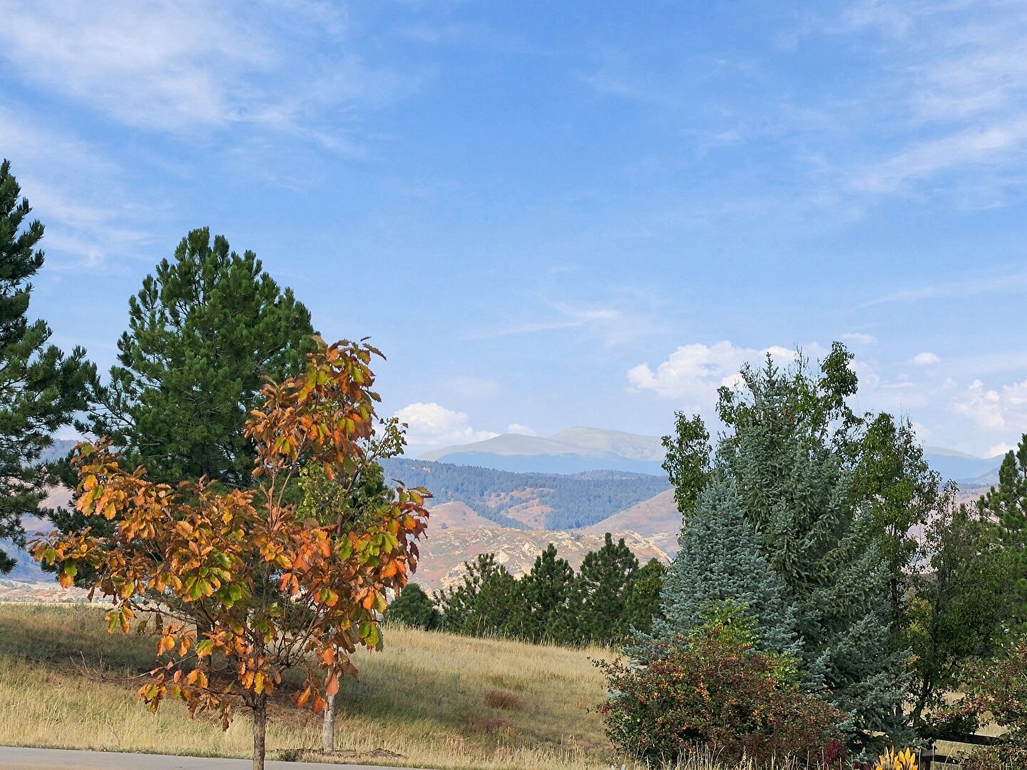 View at 4731 Mustang Run Place, Castle Rock, CO 80109, listed by Christopher Kiker